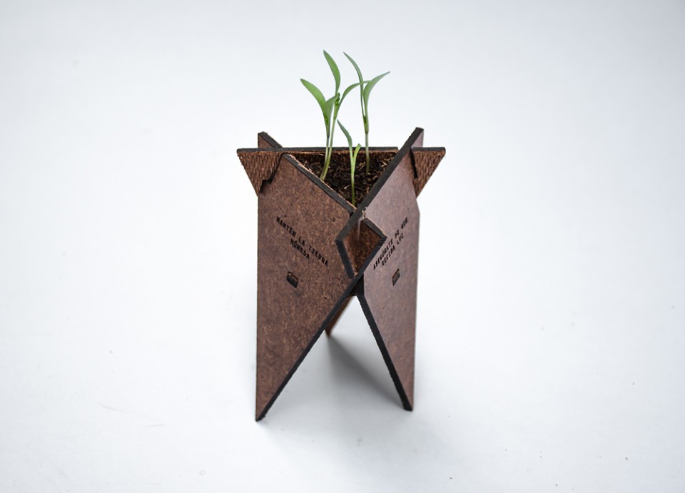 f81c8931876999.56650c534ee2f